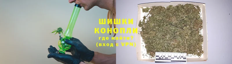 omg как войти  купить наркотик  Куртамыш  Бошки Шишки White Widow 